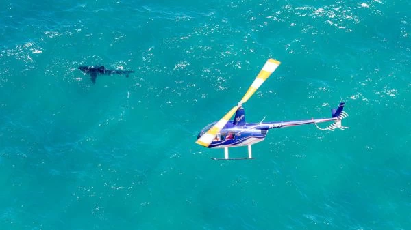 Featured Helicopter Flights on the Garden Route