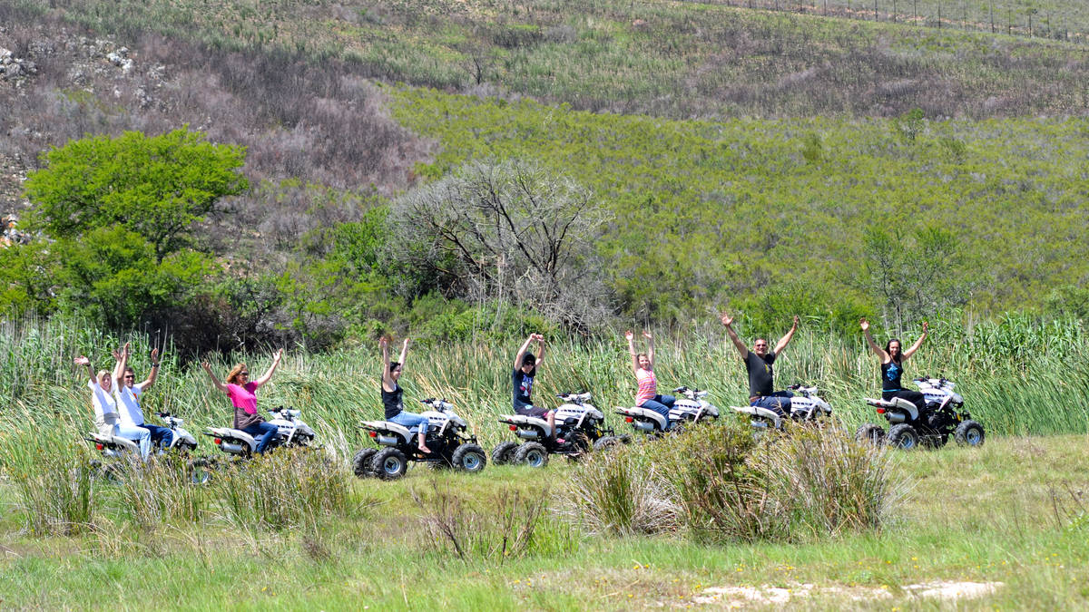 Quad Bikes